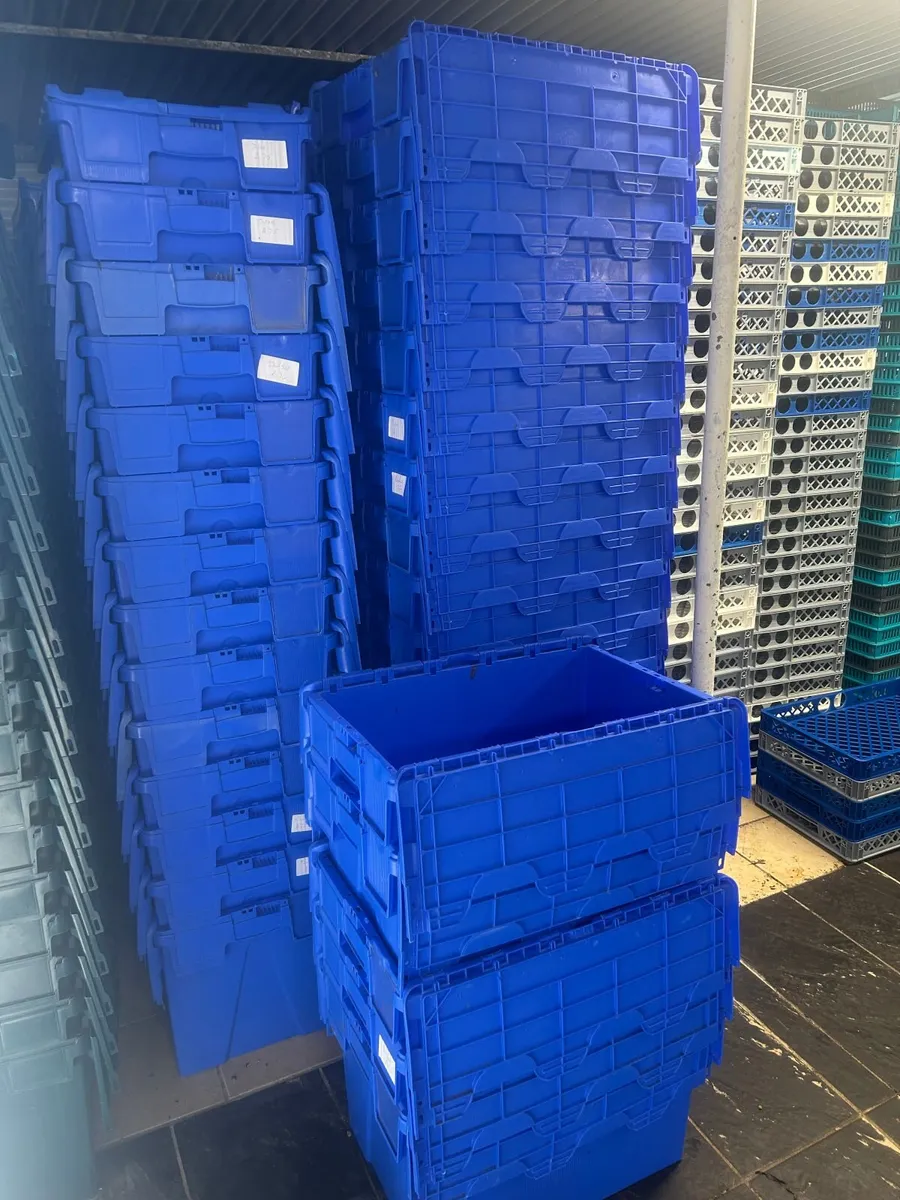 Storage boxes and trays - Image 1
