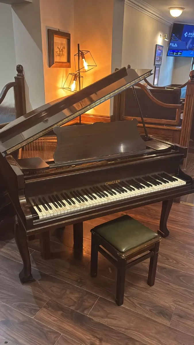 Baby Grand Piano