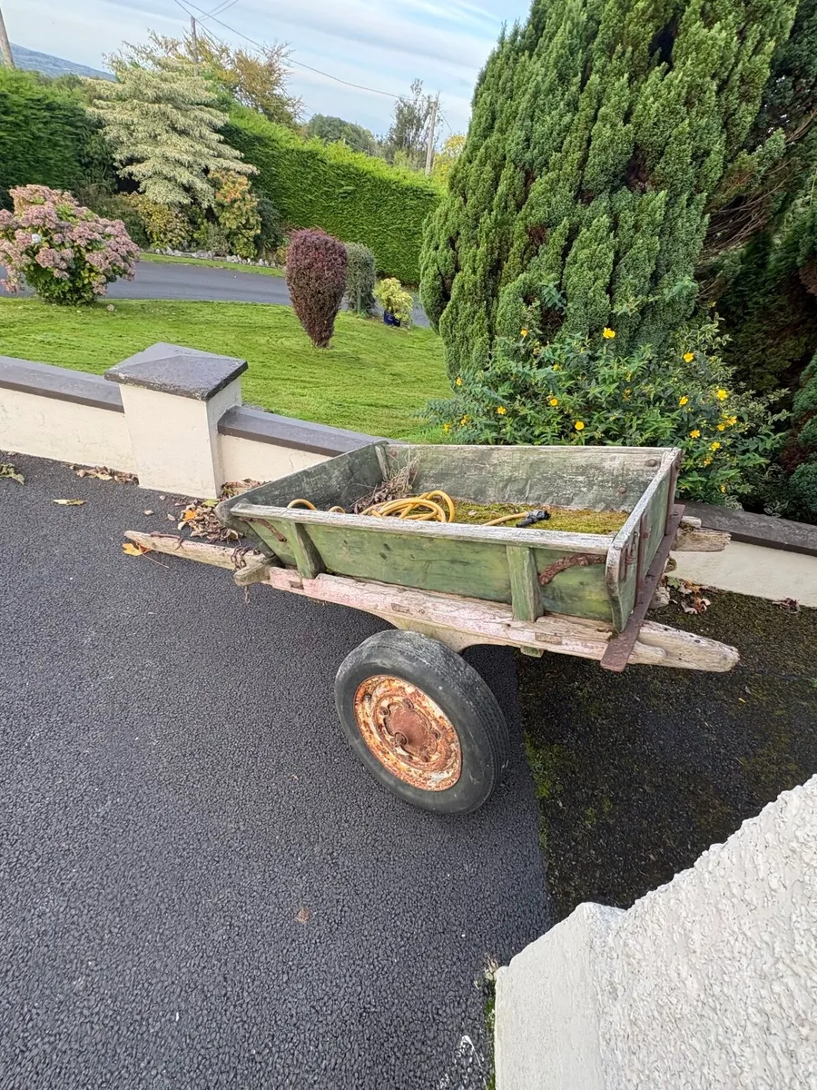 Ass Cart - Image 1