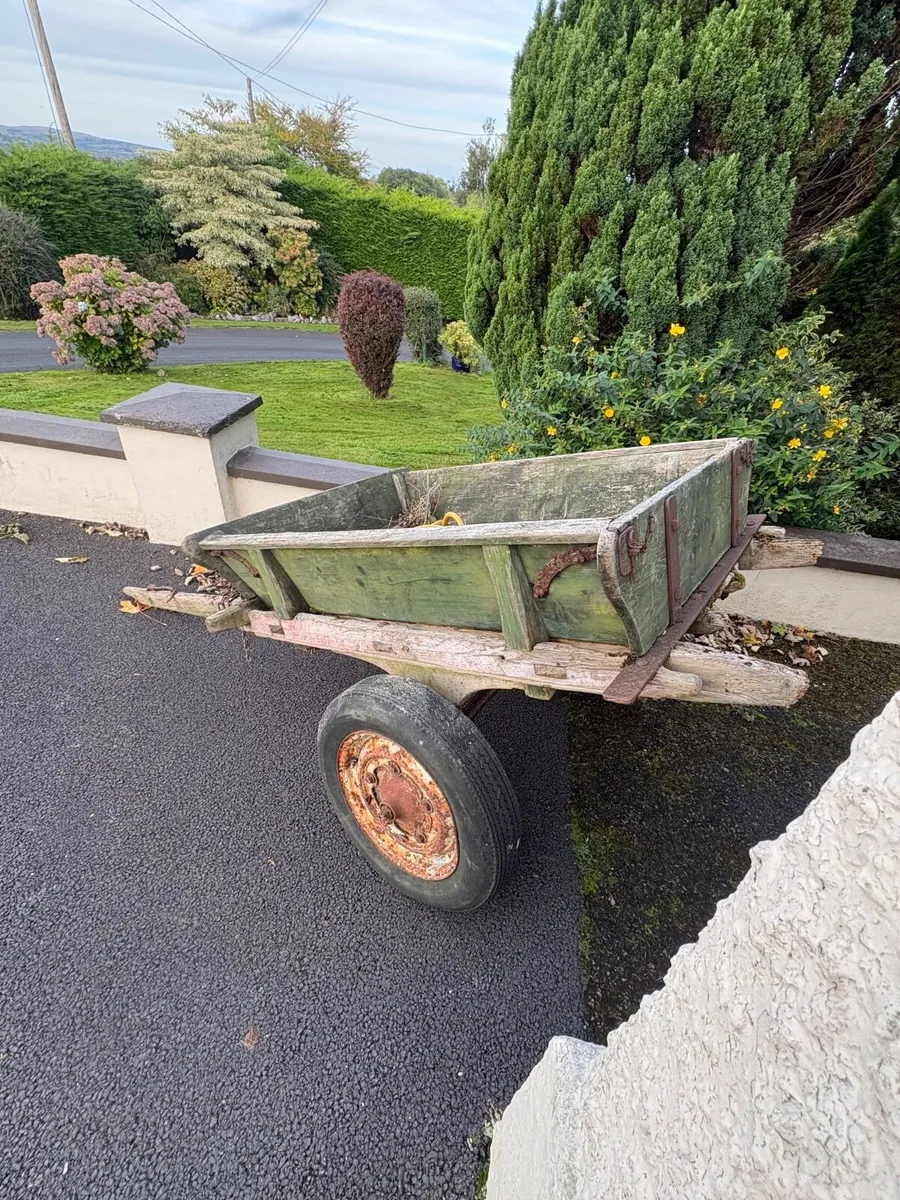 Ass Cart - Image 4
