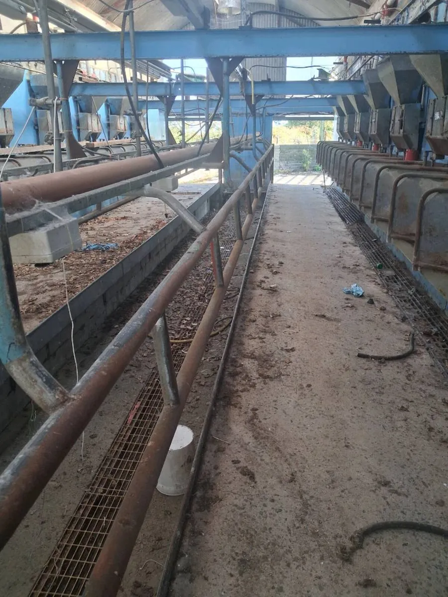 Cashman air feeders - Image 4