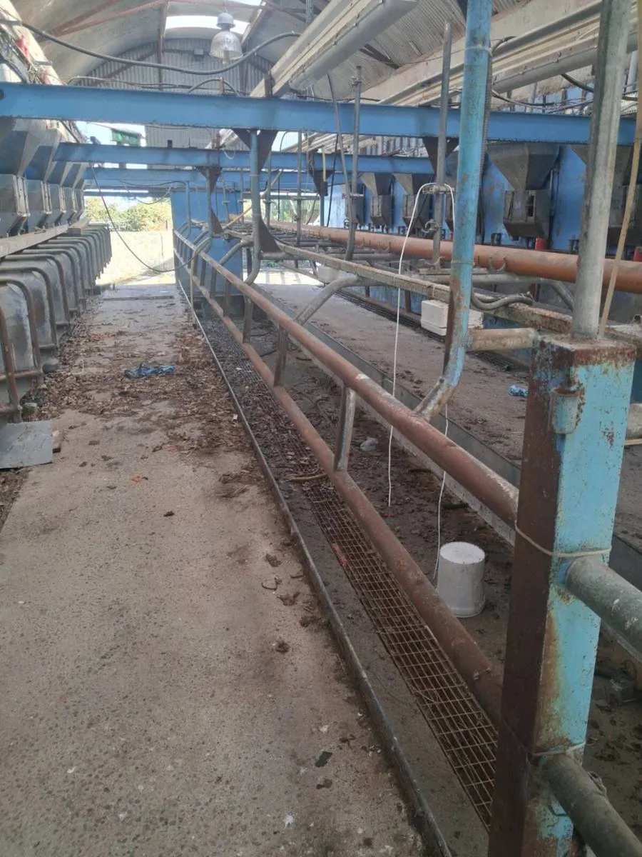 Cashman air feeders - Image 3