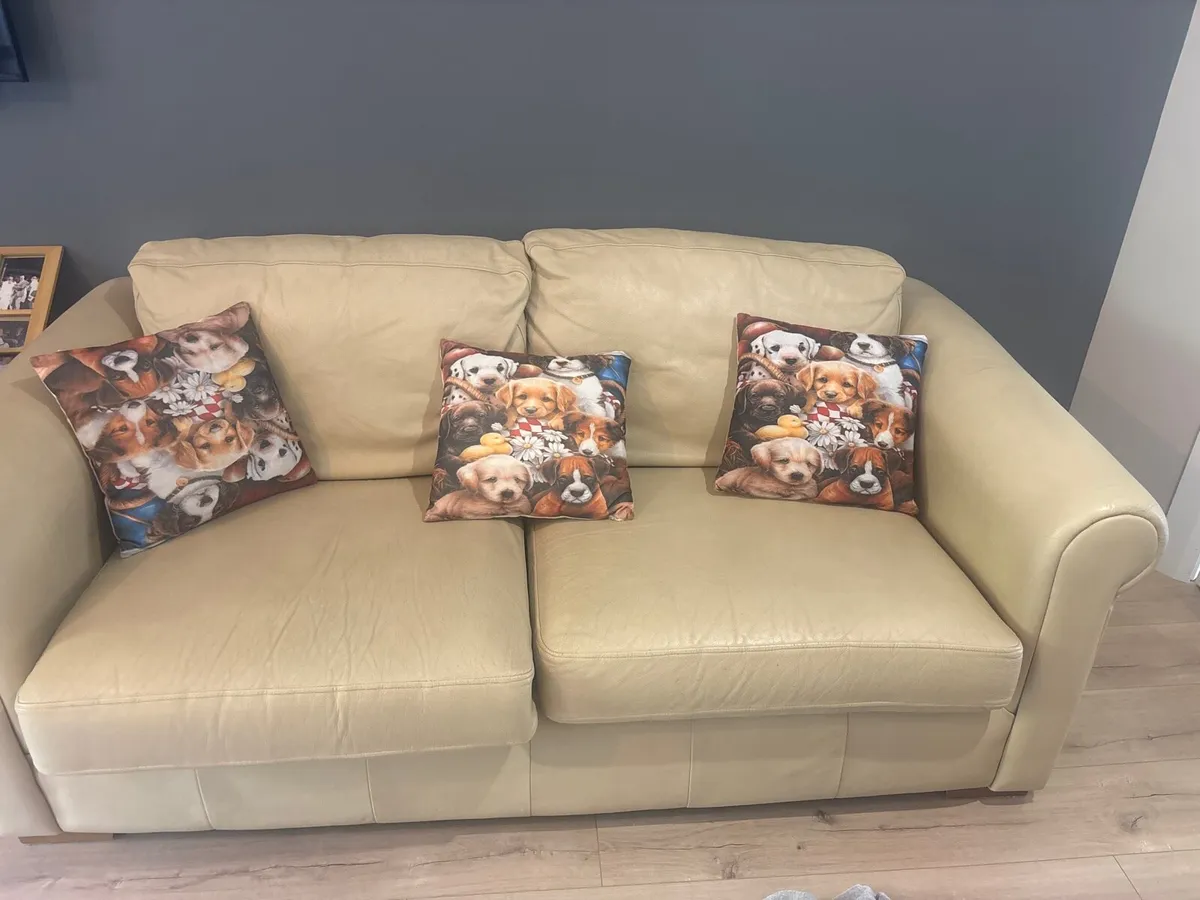 2 seater & 3 seater sofa bed  leather couch - Image 1