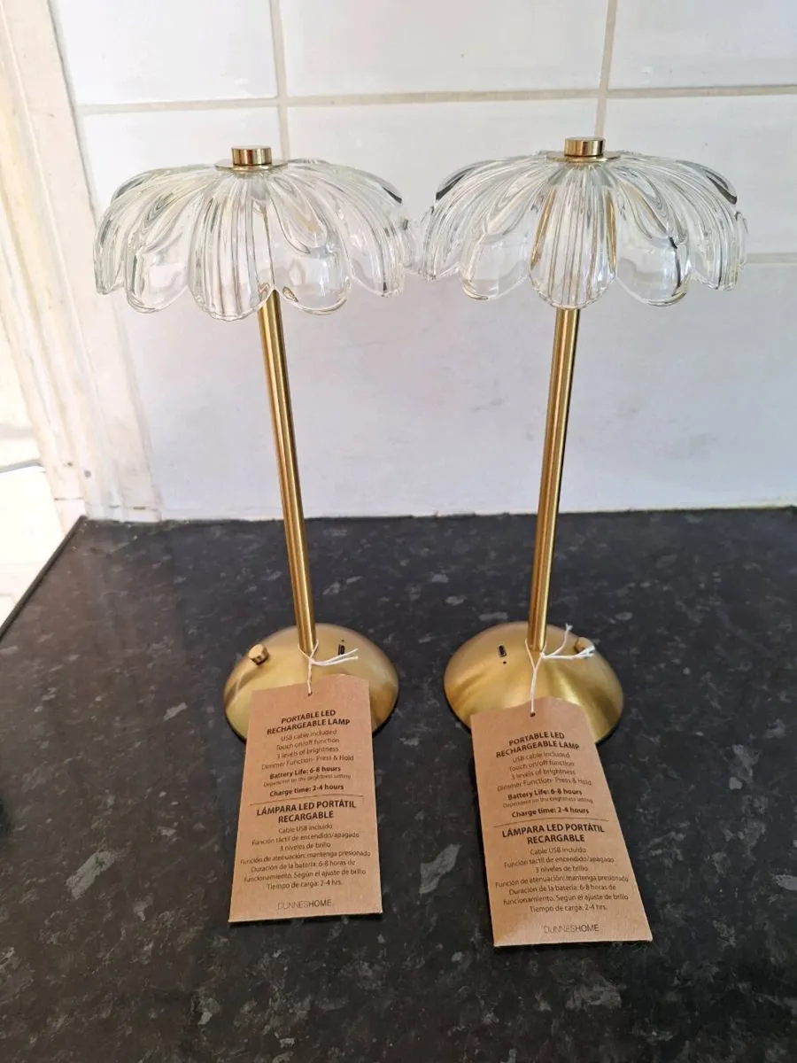Two LED  portable rechargeable lamps - Image 1
