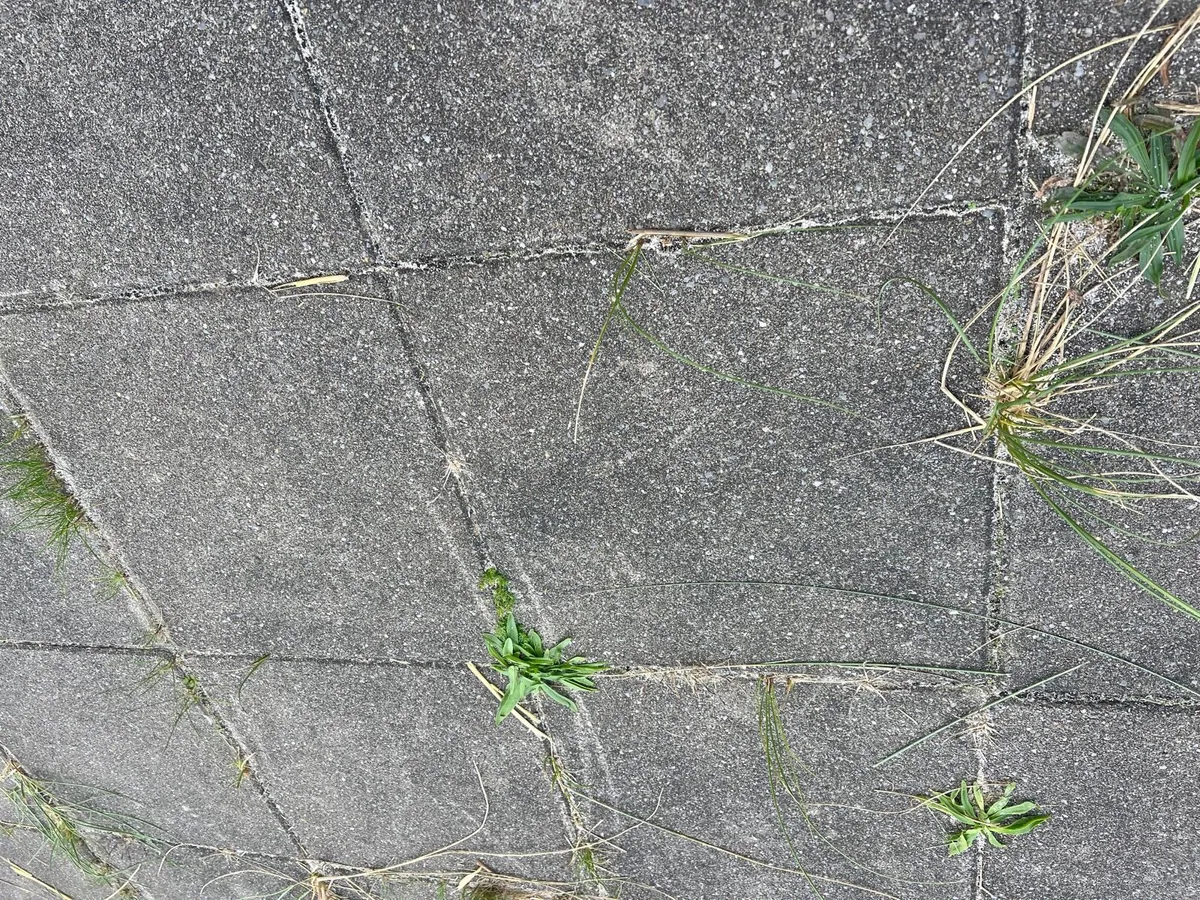 Grey Classic 400 x 400 x 40mm Outdoor Tiles - Image 2