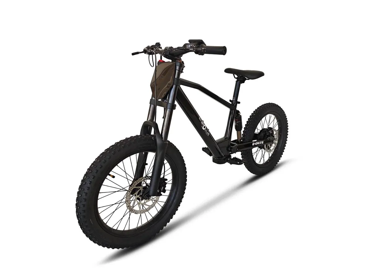 Free Shipping - Neo Outlaw 20” Bike - Image 3