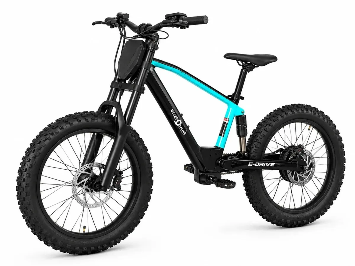 Free Shipping - Neo Outlaw 20” Bike - Image 2