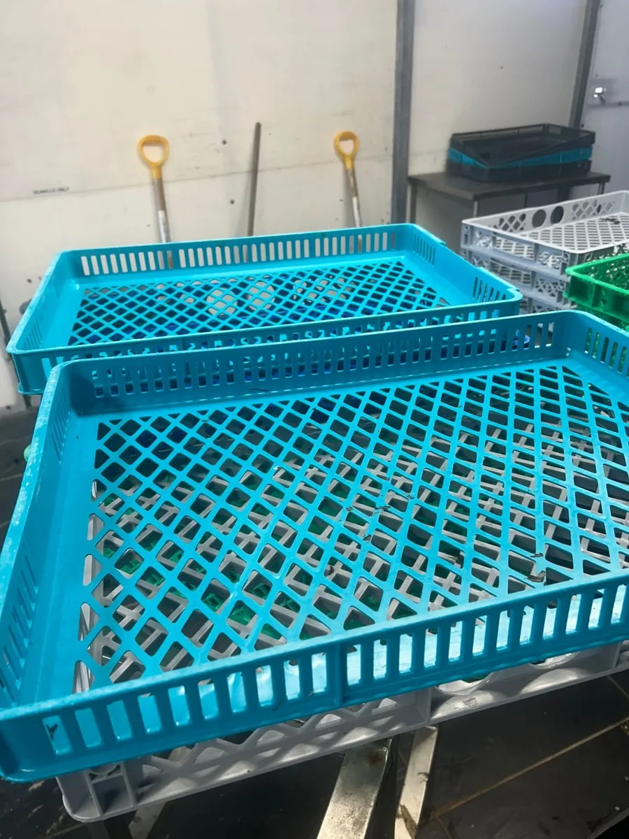 Storage boxes and trays - Image 4
