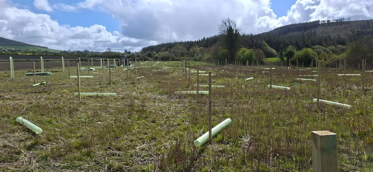 Agroforestry - Image 3