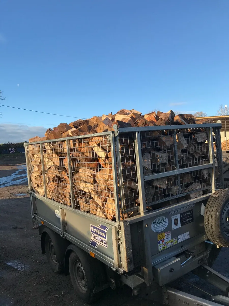 Hardwood firewood - Image 2