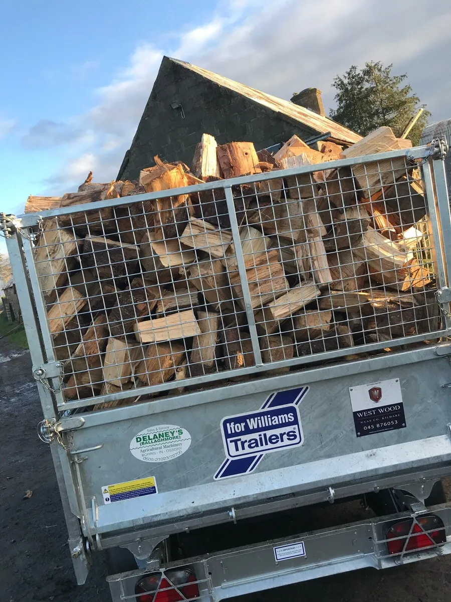 Hardwood firewood - Image 4