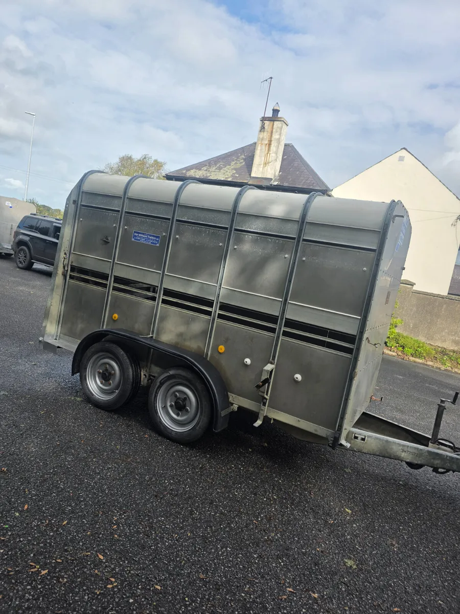 10x5 ifor Williams cattle trailer - Image 4