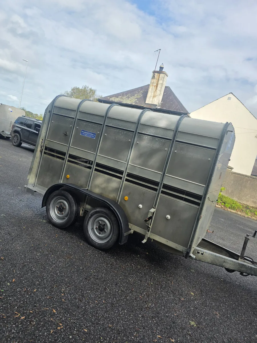 10x5 ifor Williams cattle trailer - Image 1