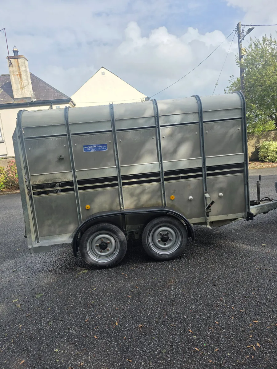 10x5 ifor Williams cattle trailer - Image 3