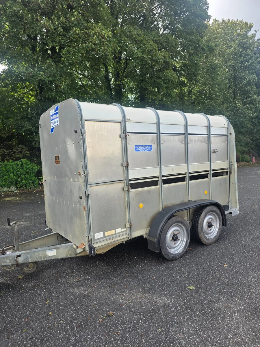 10x5 ifor Williams cattle trailer - Image 2