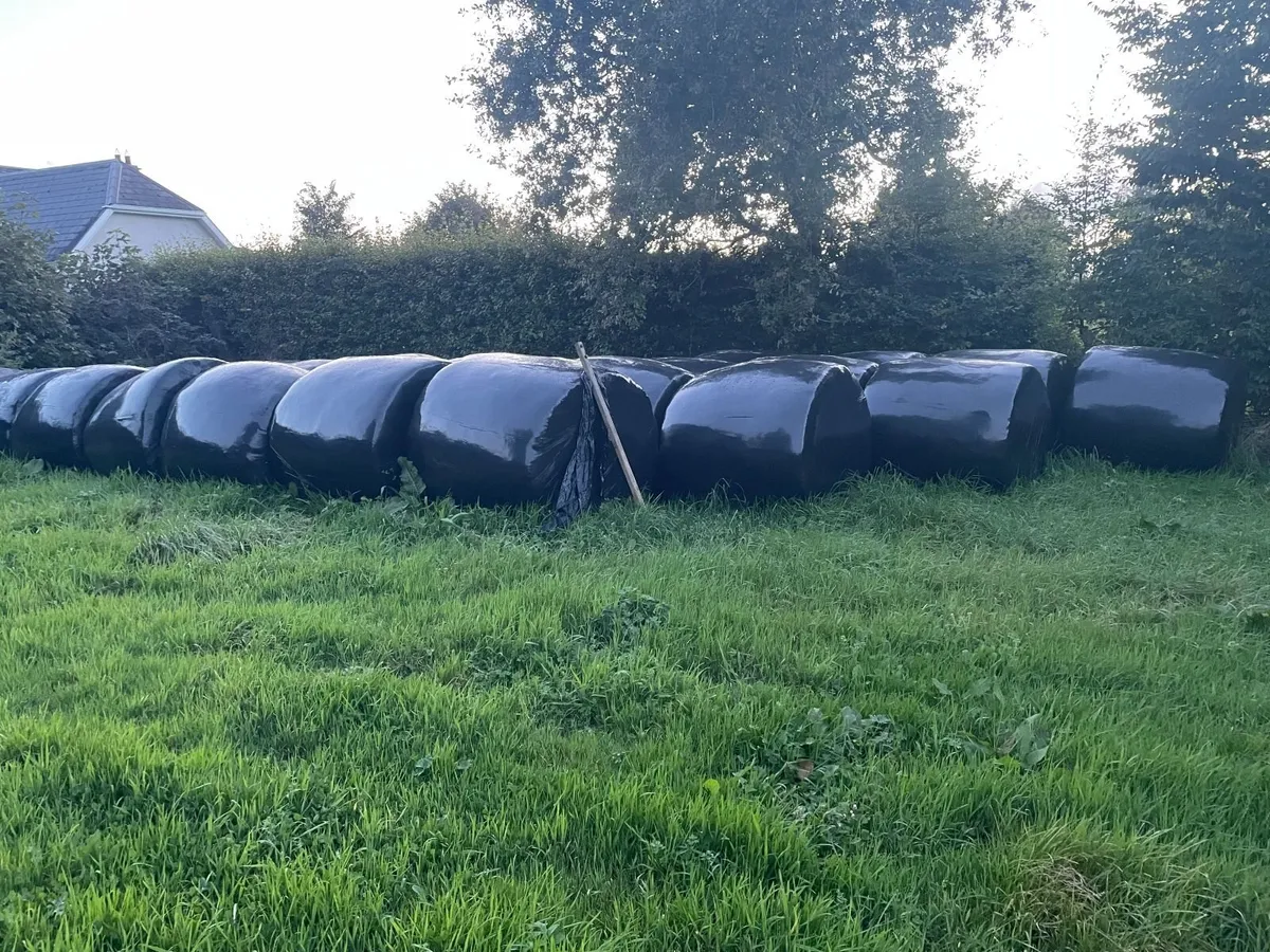 Silage Bales - Image 2