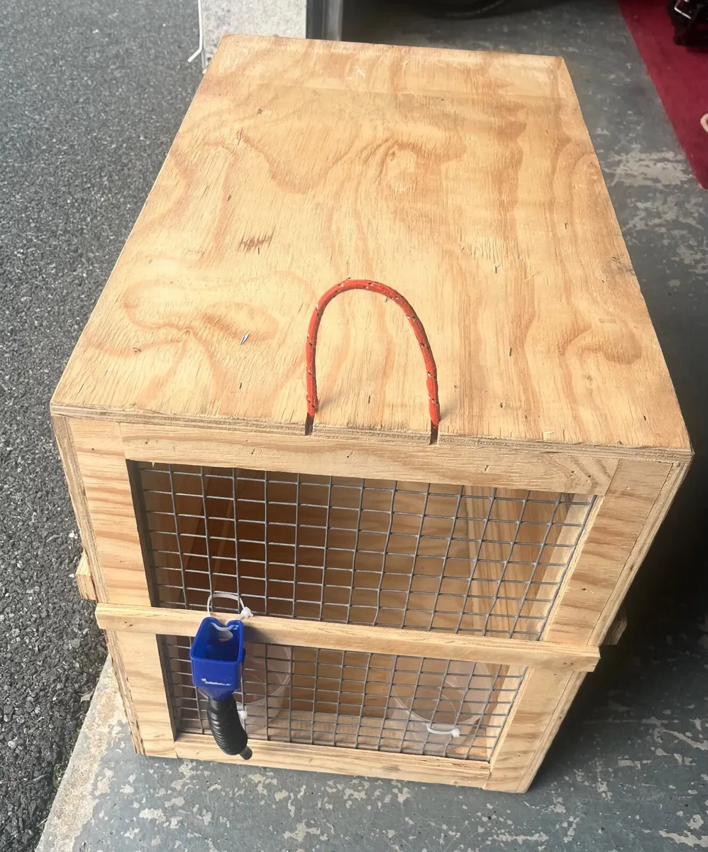 Pet Travel Crate - Image 4