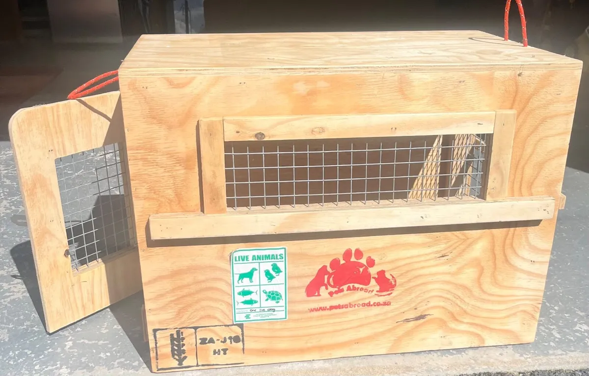 Pet Travel Crate - Image 1