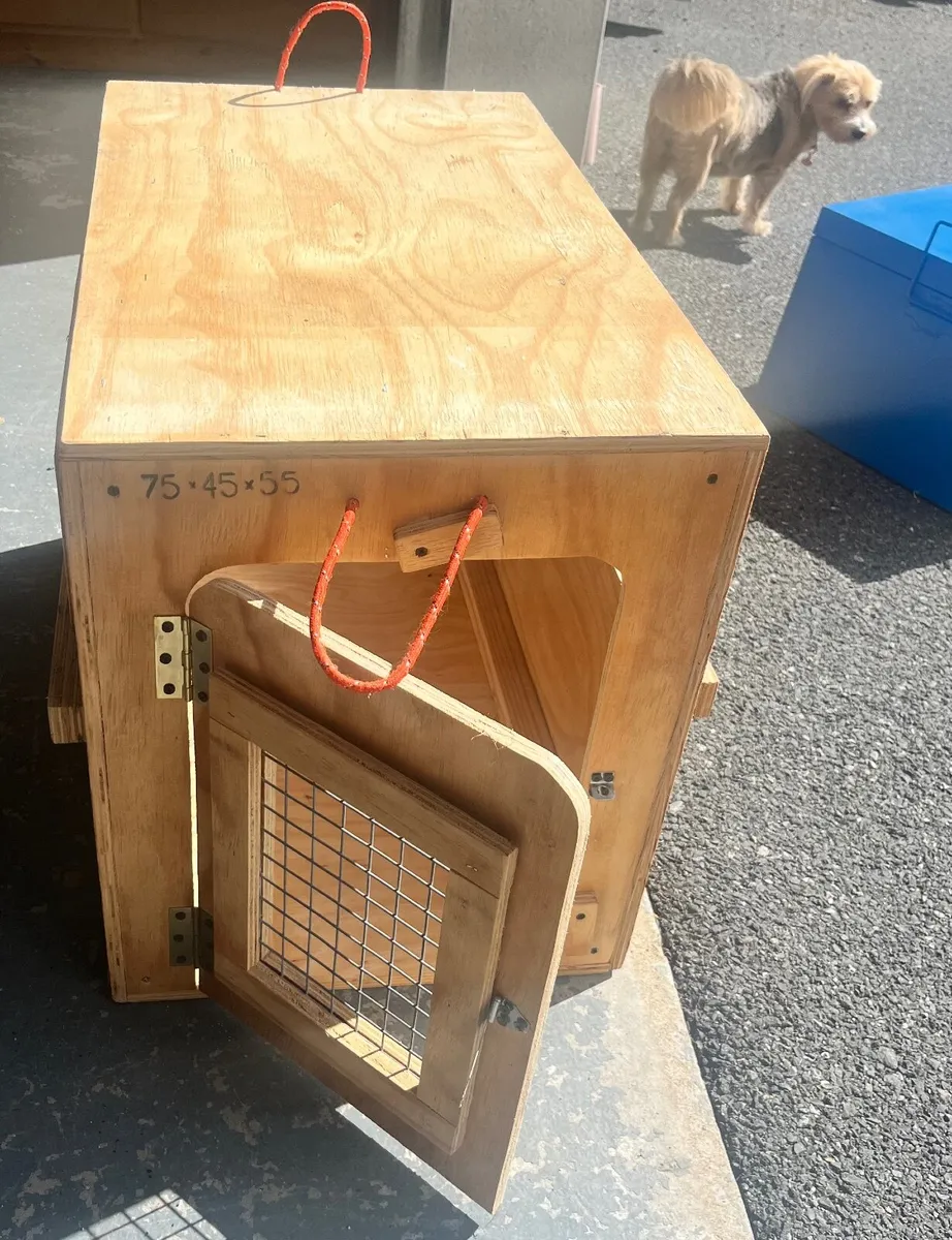 Pet Travel Crate - Image 2