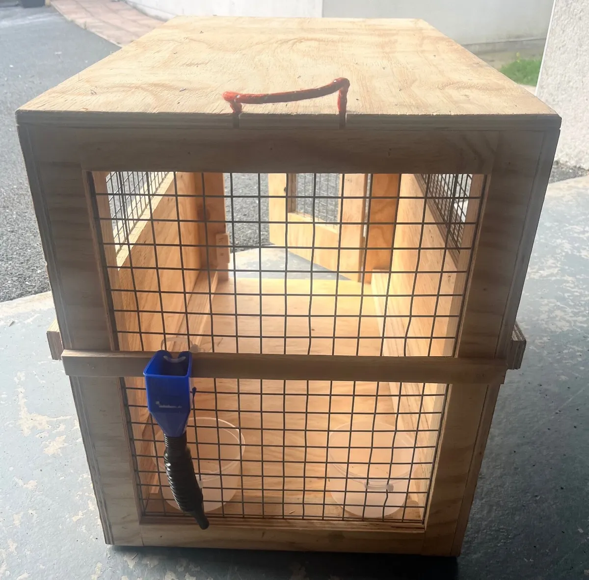 Pet Travel Crate - Image 3
