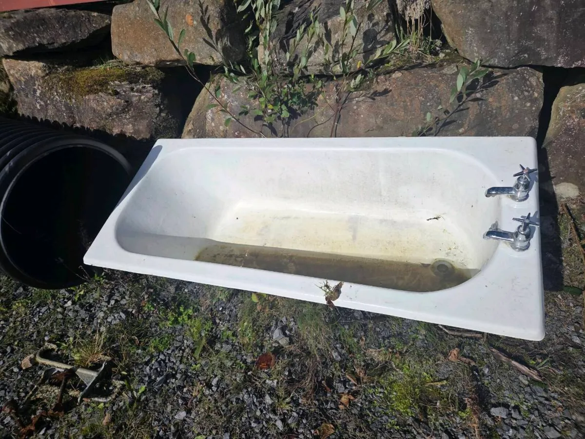 Cast Iron Bath - Image 1