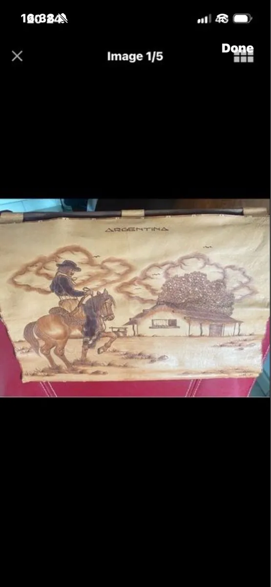 Argentina Leather Wall Art - Image 1