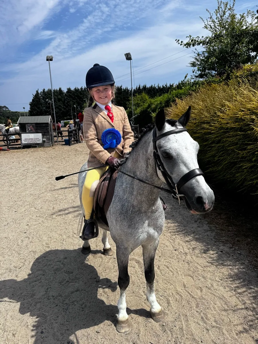 Fabulous lead rein/ first ridden pony - Image 2