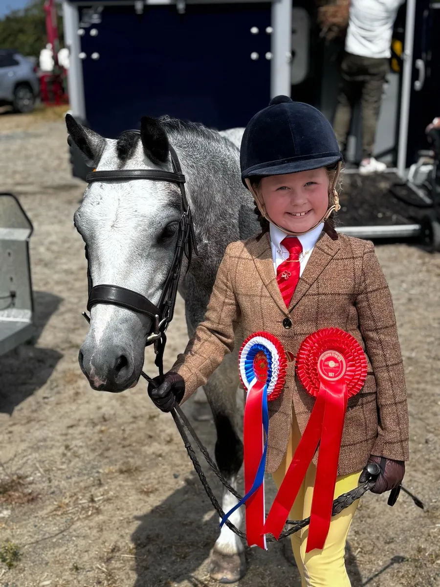 Fabulous lead rein/ first ridden pony - Image 3