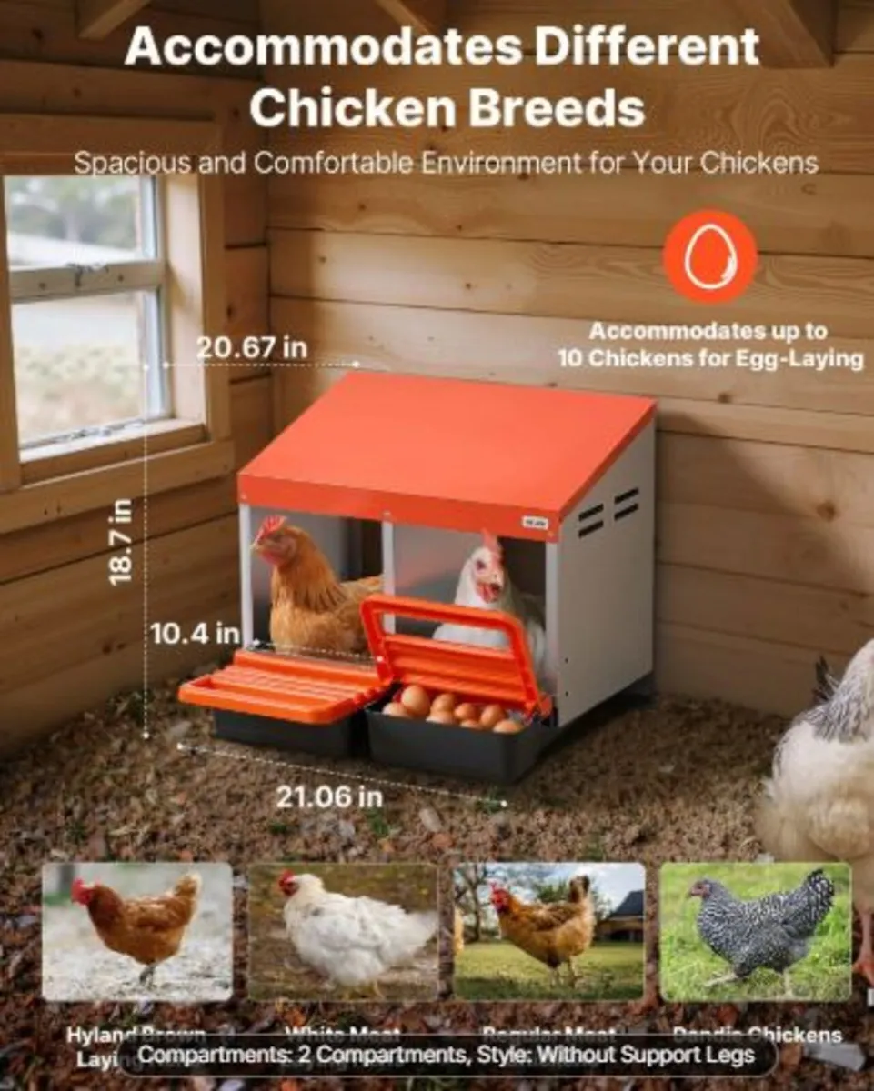 Chicken Nesting Boxes, 2 Compartments, Easy Egg - Image 3