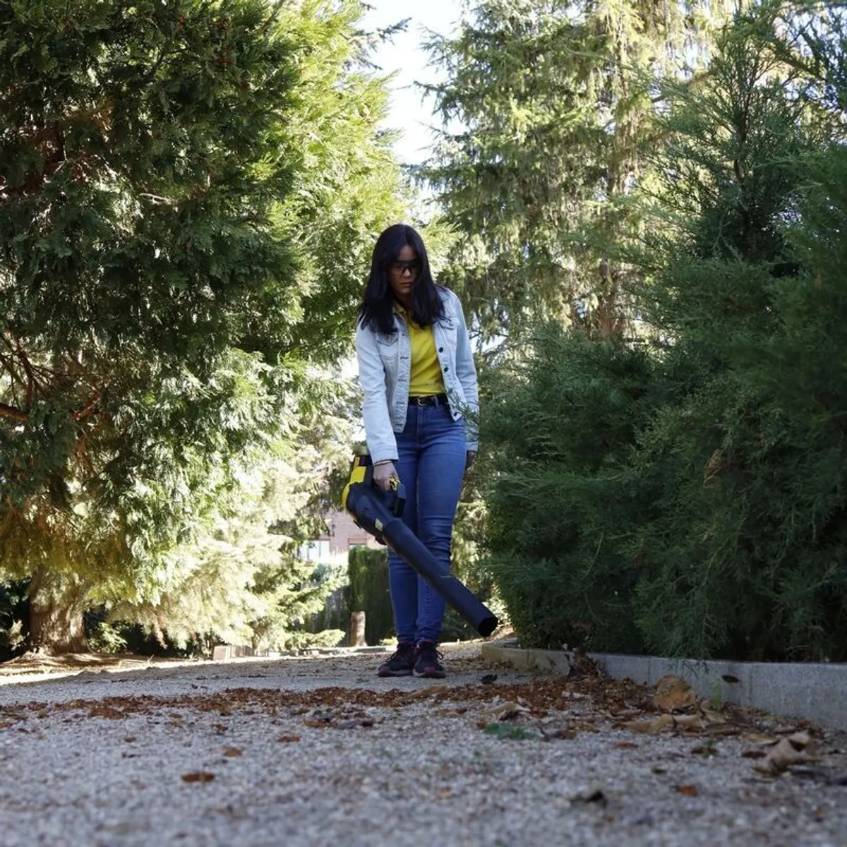 Leaf Blowers - Image 1