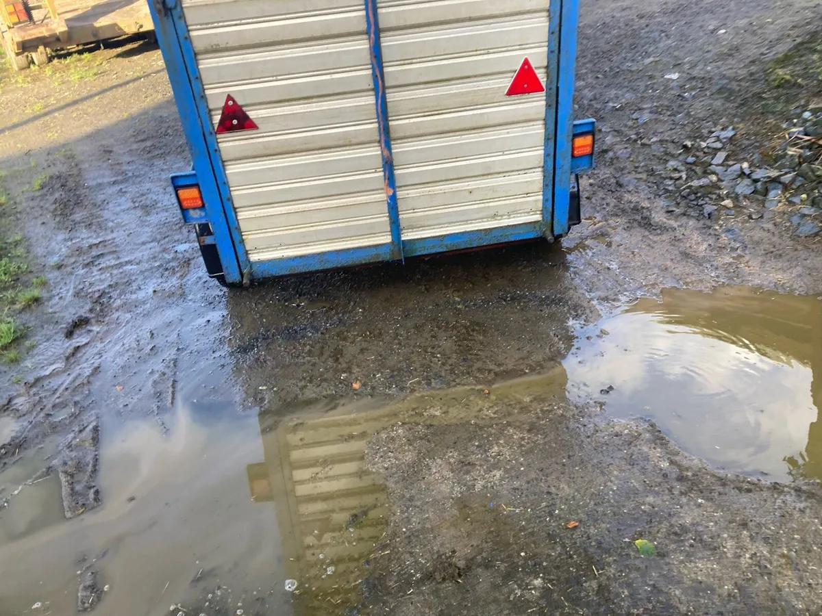 Sheep cattle trailer - Image 2
