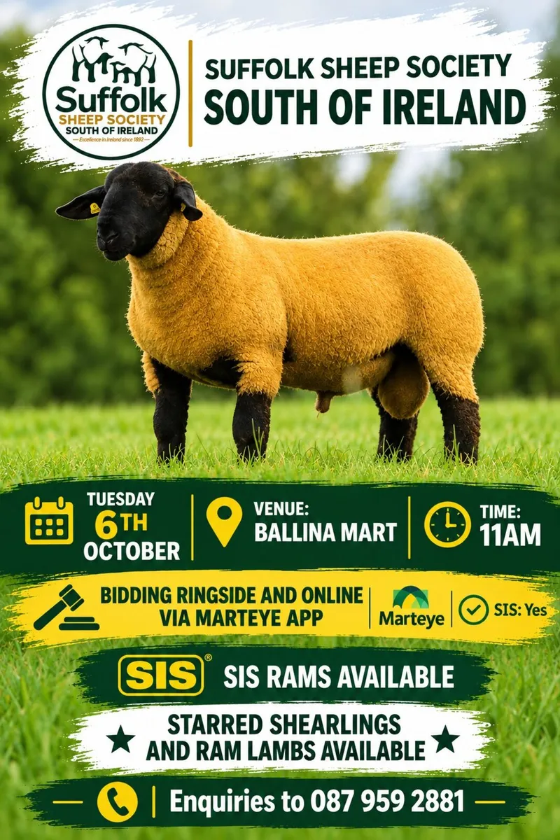 BALLINA OCTOBER RAM SALE - Image 1