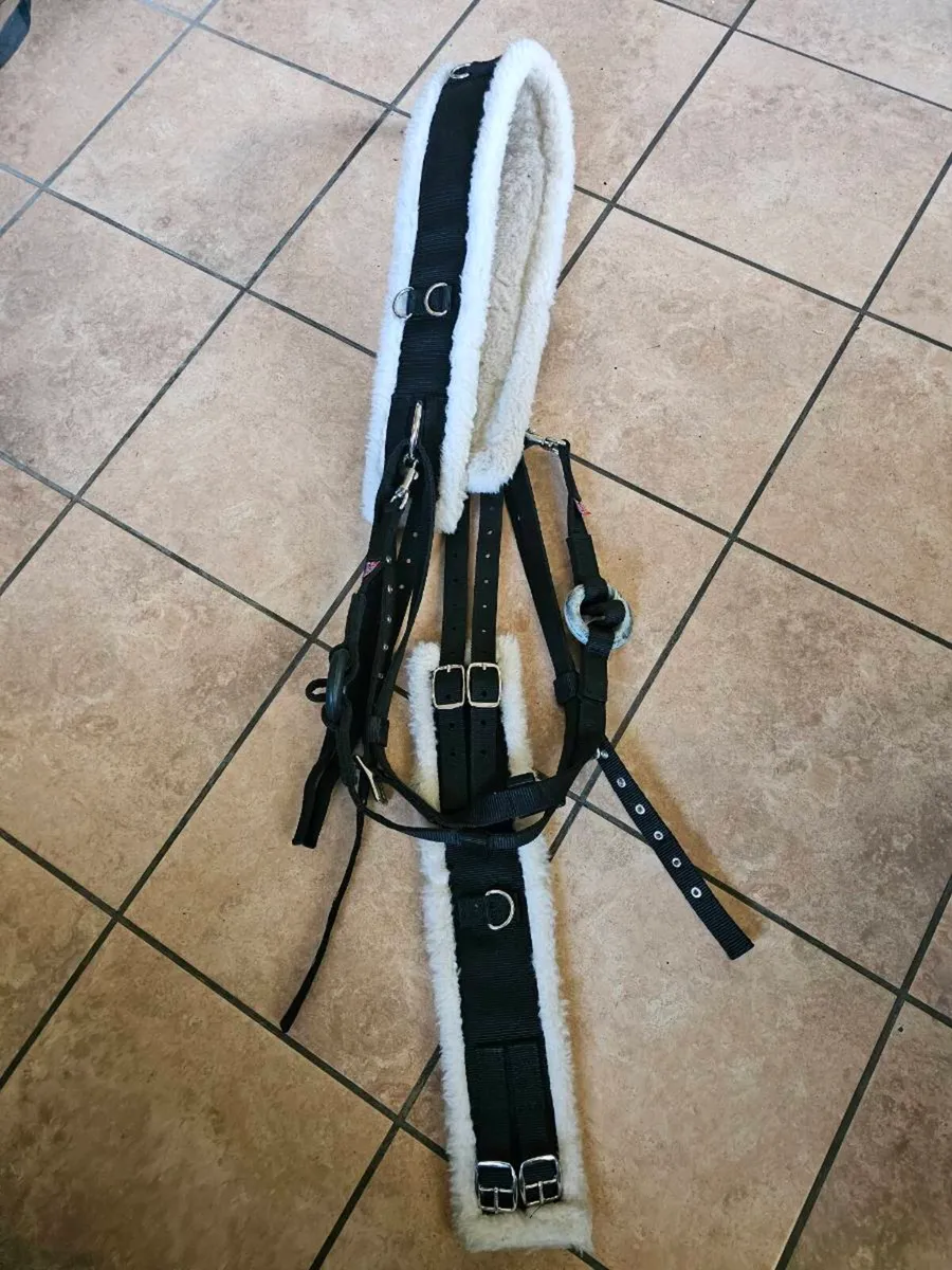 Breaking roller and side reins - Image 1