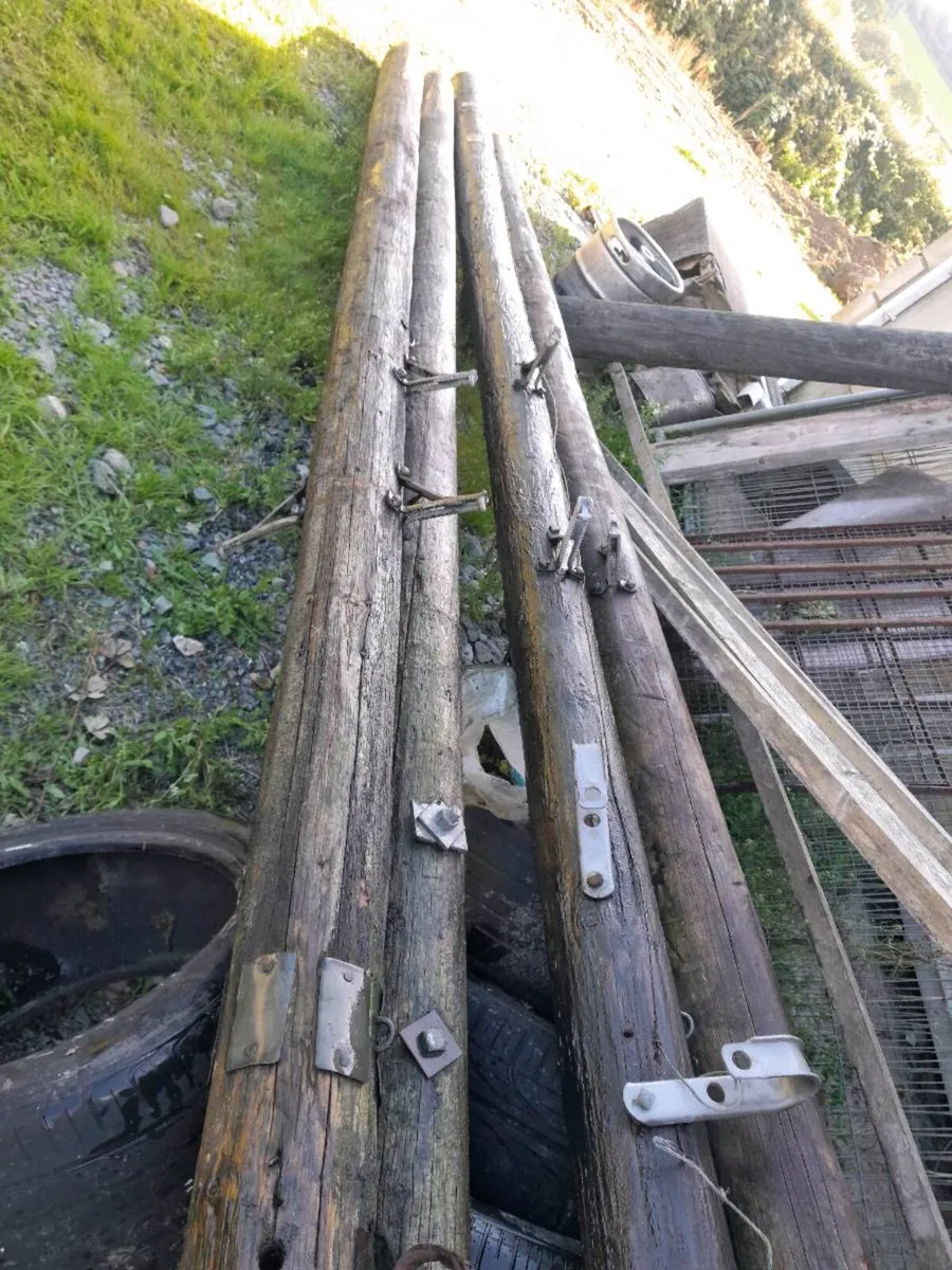 Eircom poles - Image 1