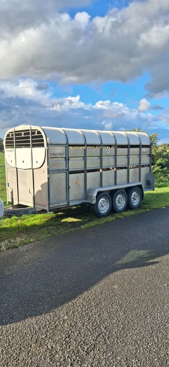 14ft Nugent Cattle Trailer - Image 2