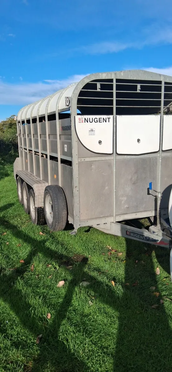 14ft Nugent Cattle Trailer - Image 3