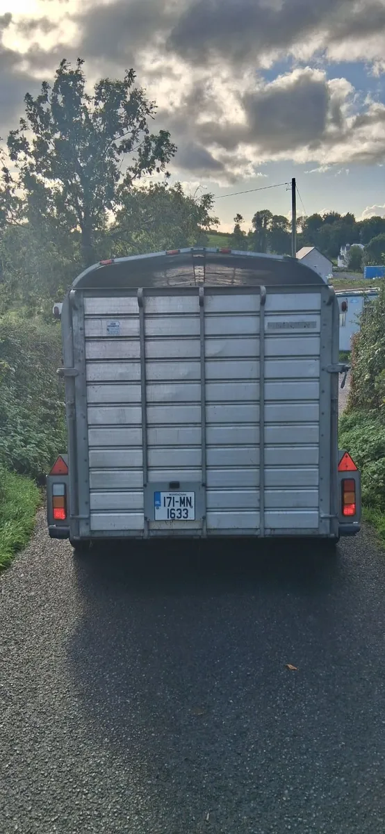 14ft Nugent Cattle Trailer - Image 4