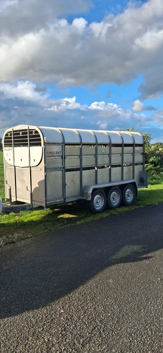 14ft Nugent Cattle Trailer - Image 1