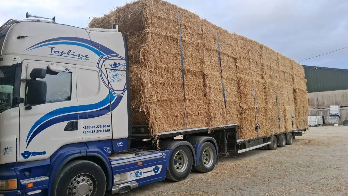 Wheaten straw for sale - Image 2