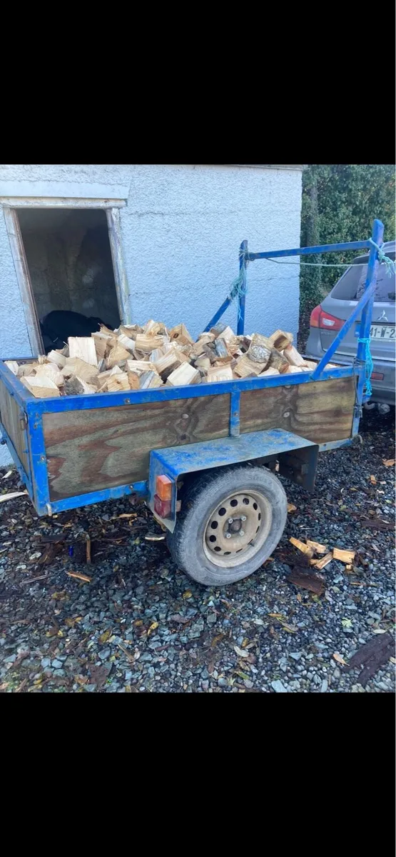 Seasoned fire wood - Image 2