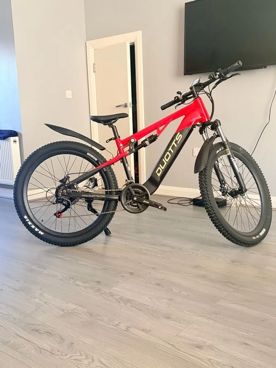 Electrical bicycle - Image 1