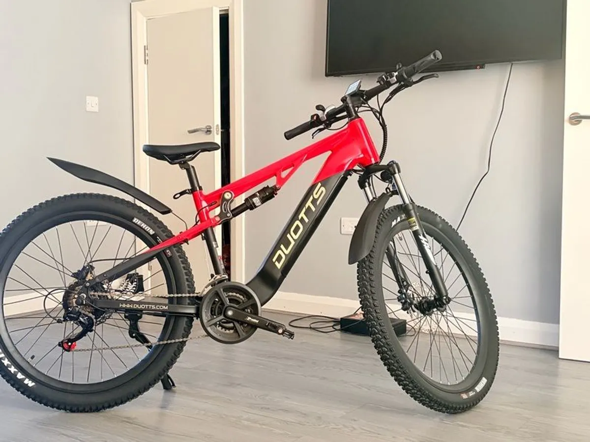 Electrical bicycle - Image 2