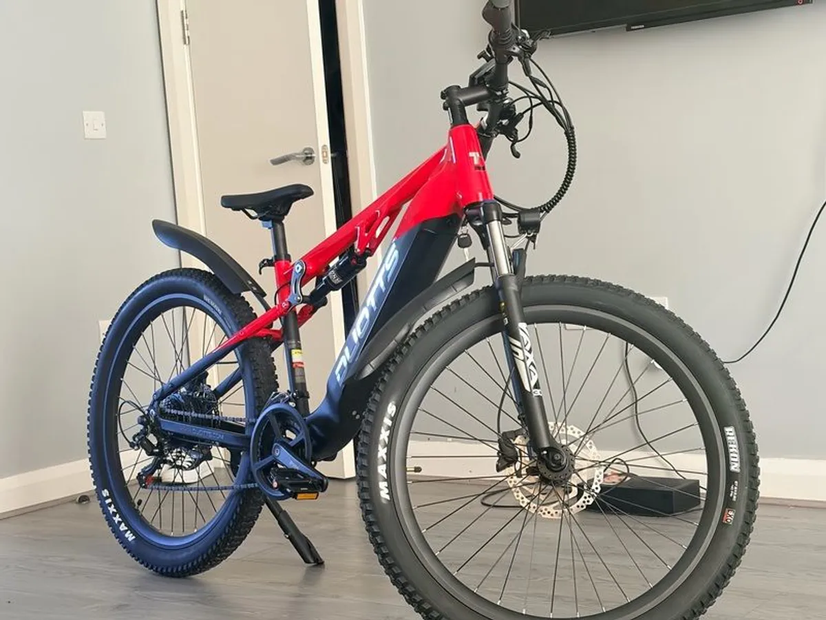 Electrical bicycle - Image 3