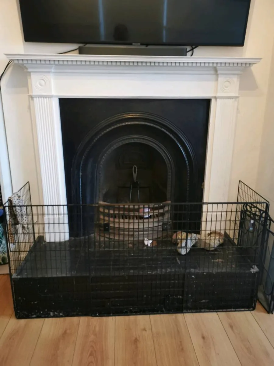 Cast iron insert - Image 1