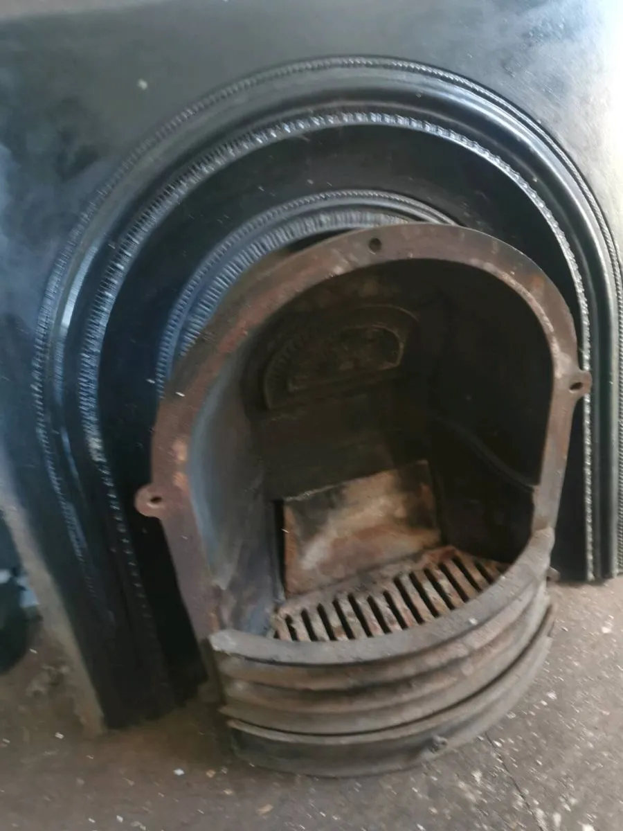 Cast iron insert - Image 3