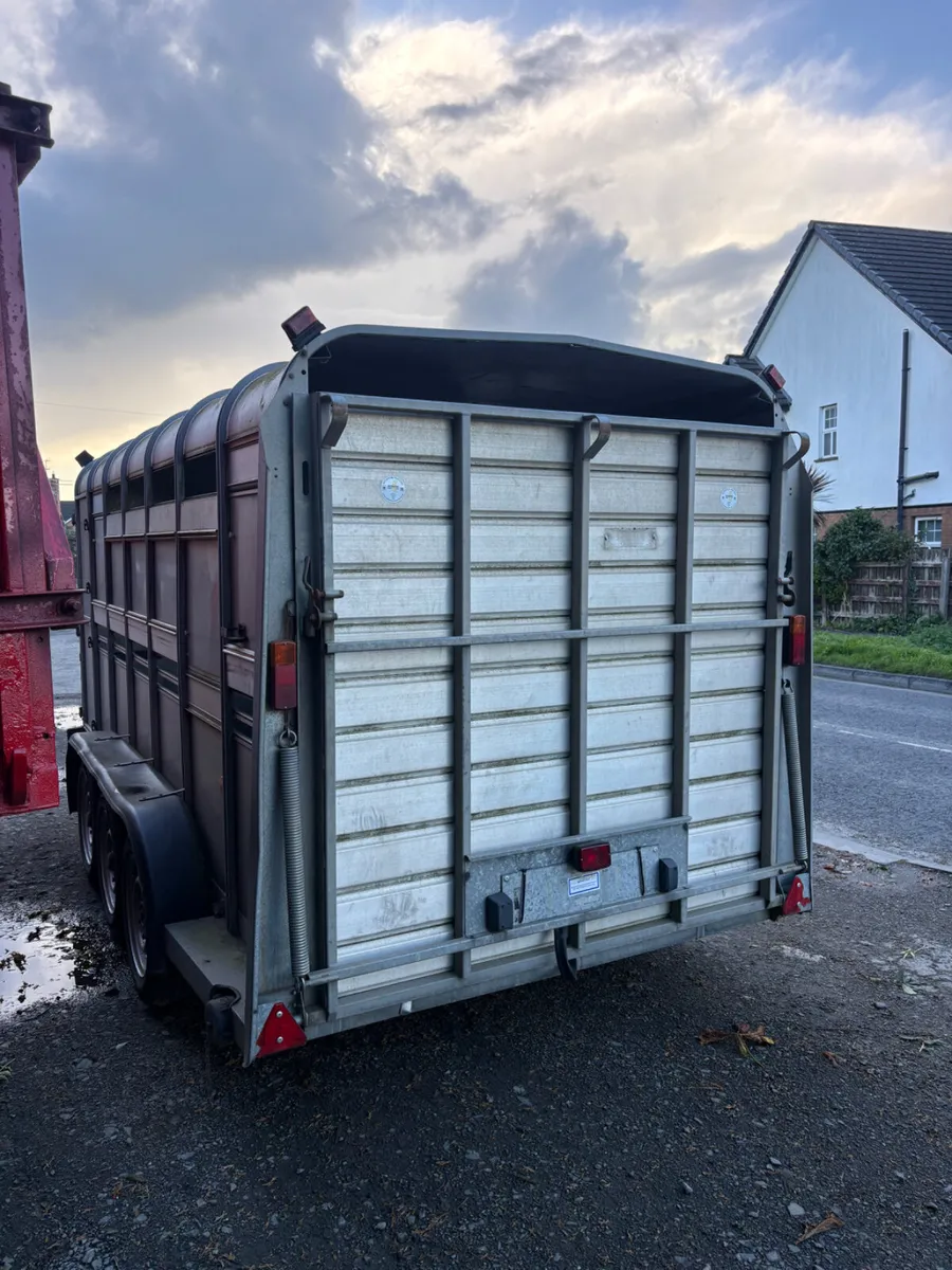Ifor Williams 14ft cattle trailer - Image 2