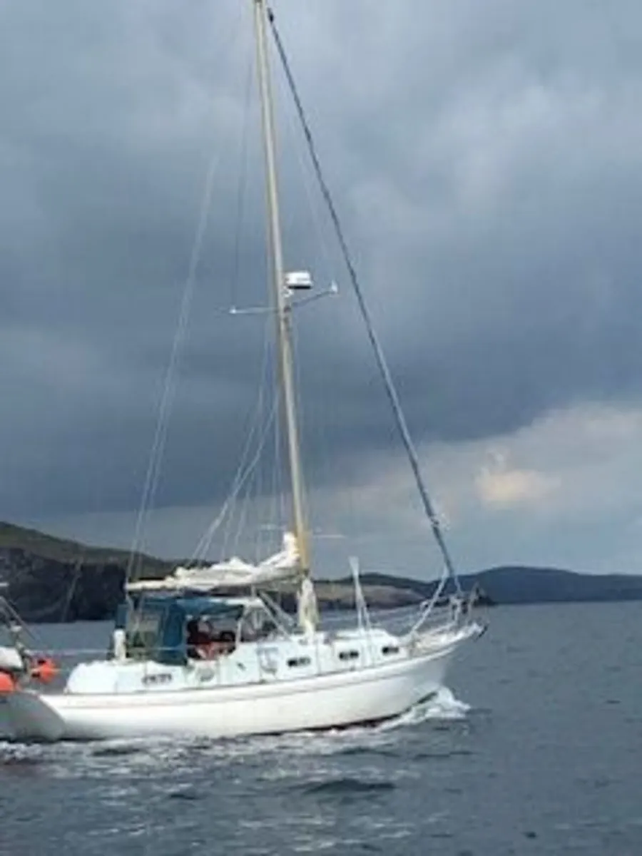 Barbary 33 for Sale