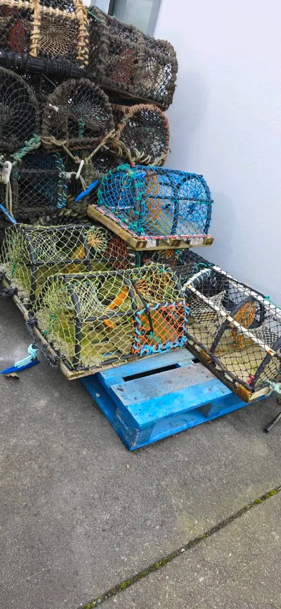 Lobsters pots - Image 4