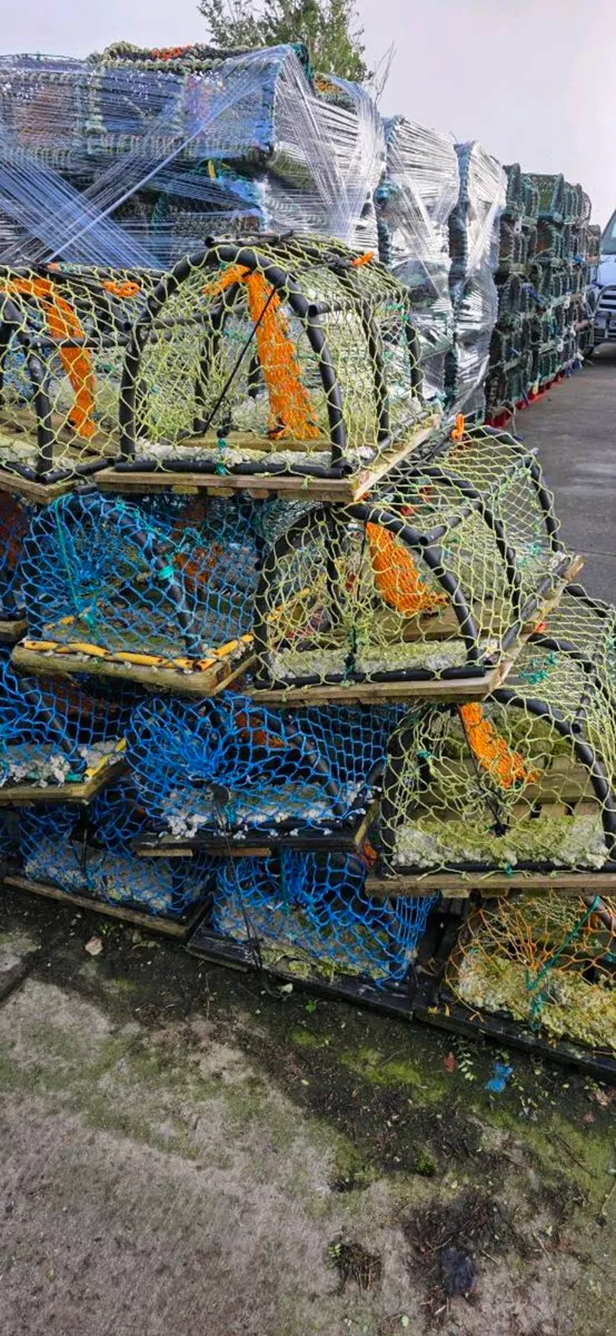 Lobsters pots - Image 2