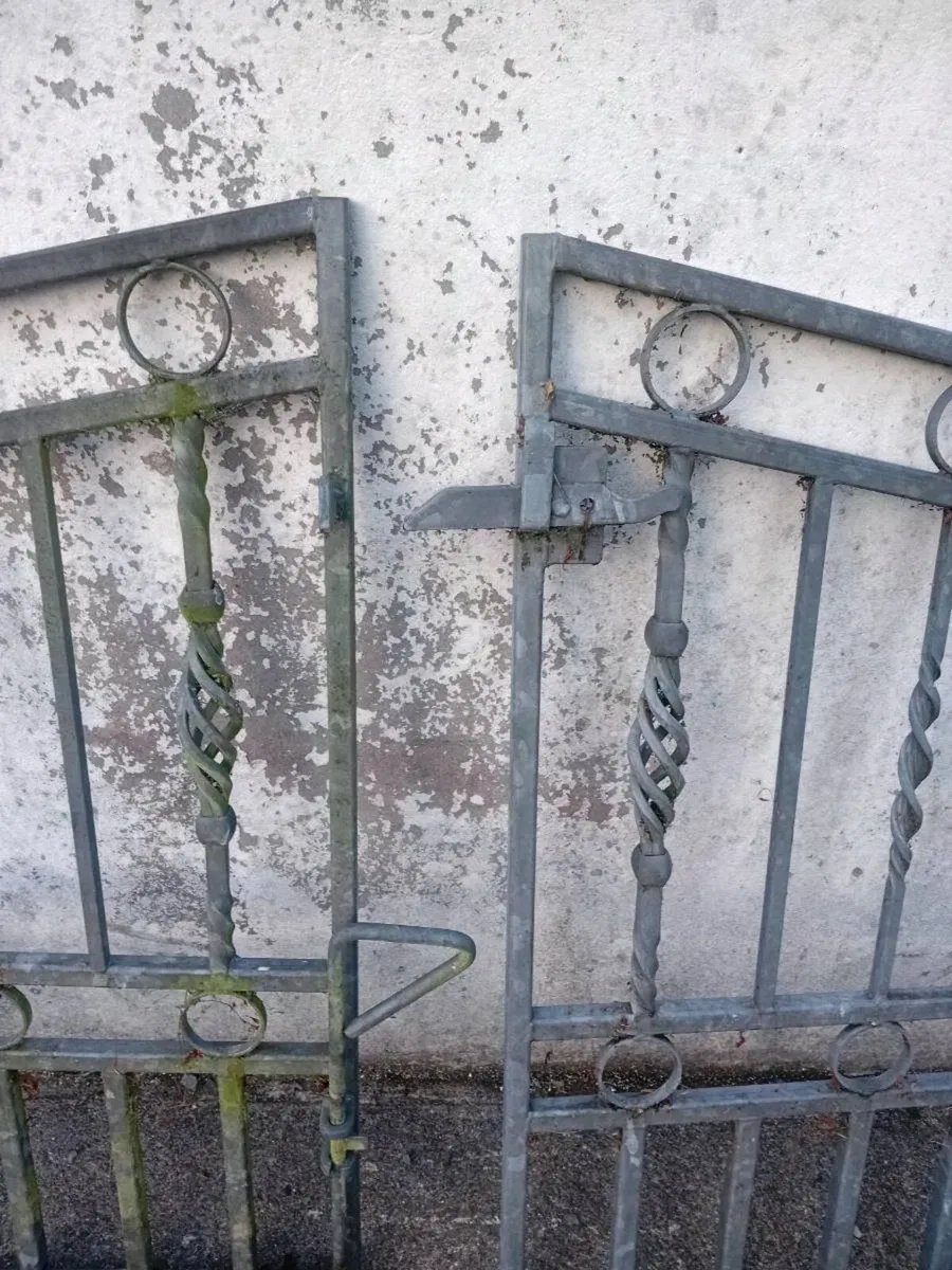 2 garden gates - Image 2